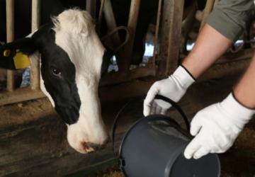Tarım ve Orman Bakanlığı’ndan hayvanlara kötü muameleye ceza