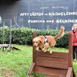 Kadıköy Belediyesi 4 Sertifikalı Arama Köpeği Olan Tek İlçe