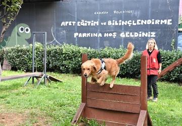 Kadıköy Belediyesi 4 Sertifikalı Arama Köpeği Olan Tek İlçe