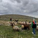 Adıyaman’da Kuyulu ve Akdere köylerinde mera alanları yerinde incelendi