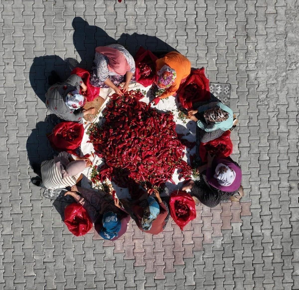 Depreme Rağmen Üretime Devam: Atmalı’nın Kadınları Umut Oluyor