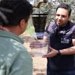 Mahsulü dalda bırakan kahverengi kokarca böceğine karşı tuzak