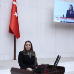 Ayyüce Türkeş’ten Erkan Akçay’a sert tepki