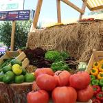 5. Uluslararası Foodfest Antalya Gastronomi Festivali başlıyor