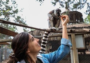Antalya Doğal Yaşam Parkı'nda yavru lemur sevinci