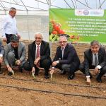 Tarlalar bereketleniyor, Kocaeli çiftçisi kazanıyor