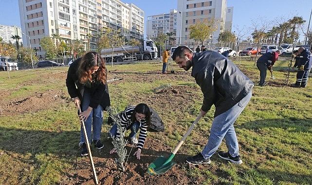 Karşıyaka'da zeytin fidanları toprakla buluştu