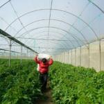 Adıyaman’da Sera Projesi için başvurular devam ediyor