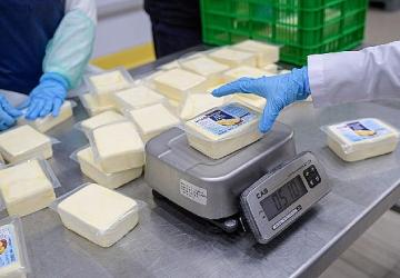 Büyükşehir'den peynir hamlesi