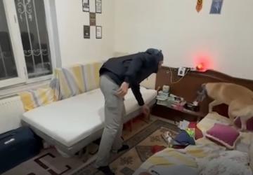 Adıyaman’da güvenlik operasyonları: 76 aranan şahıs yakalandı - Videolu Haber