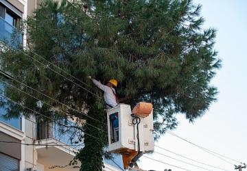 Karşıyaka'da budama seferberliği: Ağaçlar bahara hazırlanıyor