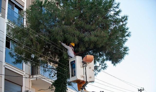 Karşıyaka'da budama seferberliği: Ağaçlar bahara hazırlanıyor