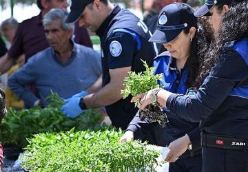 Büyükşehir'den Salihlili Üreticilere 34 Bin Sebze Fidesi