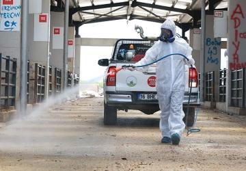 Osmangazi'de Kurban Pazarları İlaçlanarak Dezenfekte Edildi