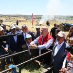 ADIYAMAN (PERRE) - Adıyaman'ın Gölbaşı ilçesinde, Türk mutfağının vazgeçilmez ürünleri arasında yer alan ve asırlardır sofralara lezzet katan firik bulgurunda hasat başladı.