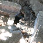 ADIYAMAN (PHA) - Şeriban ÖZÇAKMAK – Adıyaman merkeze bağlı Kömür Beldesi’nde, yıllardır faaliyette olan mermer ve taş ocakları, köylünün yaşam kaynağı olan su kaynaklarını kuruttu.