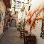 DİYARBAKIR (PERRE) - Murat KAYIŞ - Diyarbakır'da kurulan Şuâra Kitap Atölyesi, edebiyatseverleri kitapların kalbine doğru bir yolculuğa çıkarıyor.