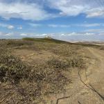 ADIYAMAN (PERRE) - Şeriban ÖZÇAKMAK - Adıyaman'da tütün ekimine getirilen kısıtlamalar sonrası devlet teşvikleriyle üretimi yaygınlaştırılan badem, son yıllarda yaşanan ekonomik gelişmeler ve tarım politikalarındaki deği...