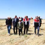 ADIYAMAN (PERRE) - Adıyaman'ın Gölbaşı ilçesinde, Türk mutfağının vazgeçilmez ürünleri arasında yer alan ve asırlardır sofralara lezzet katan firik bulgurunda hasat başladı.