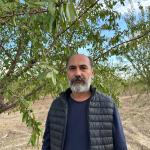 ADIYAMAN (PERRE) - Şeriban ÖZÇAKMAK - Adıyaman'da tütün ekimine getirilen kısıtlamalar sonrası devlet teşvikleriyle üretimi yaygınlaştırılan badem, son yıllarda yaşanan ekonomik gelişmeler ve tarım politikalarındaki deği...