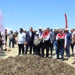 ADIYAMAN (PERRE) - Adıyaman'ın Gölbaşı ilçesinde, Türk mutfağının vazgeçilmez ürünleri arasında yer alan ve asırlardır sofralara lezzet katan firik bulgurunda hasat başladı.