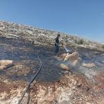 ADIYAMAN (PHA) - Gülbahar SÜNGÜ - Adıyaman Belediyesi İtfaiye Müdürlüğü, 1 Mayıs - 30 Haziran 2025 tarihleri arasında kent genelinde toplam 350 olaya müdahale etti.