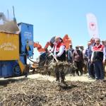 ADIYAMAN (PERRE) - Adıyaman'ın Gölbaşı ilçesinde, Türk mutfağının vazgeçilmez ürünleri arasında yer alan ve asırlardır sofralara lezzet katan firik bulgurunda hasat başladı.
