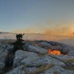 ADIYAMAN (PHA) - Gülbahar SÜNGÜ - Adıyaman Belediyesi İtfaiye Müdürlüğü, 1 Mayıs - 30 Haziran 2025 tarihleri arasında kent genelinde toplam 350 olaya müdahale etti.