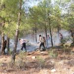 ADIYAMAN (PHA) - Şeriban ÖZÇAKMAK - Adıyaman’ın Besni ve Tut ilçelerine bağlı köylerde çıkan orman ve bahçe yangınları, havadan ve karadan yapılan yoğun müdahalelerle kontrol altına alındı.
