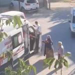 ADIYAMAN (PHA) - Adıyaman'ın Besni ilçesinde sokak köpeklerinin saldırısına uğrayan Sait Şahin (65),  hastanelik oldu.
