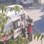 ADIYAMAN (PHA) - Adıyaman'ın Besni ilçesinde sokak köpeklerinin saldırısına uğrayan Sait Şahin (65),  hastanelik oldu.