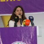 ADIYAMAN (PHA) - Murat KAYIŞ – DEM Parti Adıyaman İl Örgütü, 1.