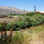 ADIYAMAN (PHA) - Adıyaman Belediye Başkanı Abdurrahman Tutdere, sabah saatlerinde evine düzenlenen baskınla polis ekipleri tarafından gözaltına alındı.