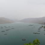 ADIYAMAN (PHA) - Behçet ATABEK - Murat KAYIŞ – Adıyaman’da yaz sıcaklıklarının etkisini artırdığı günlerde Çelikhan ilçesinde yağan yağmur, Çat Barajı’nın doğal güzelliğini yeniden ortaya çıkardı.