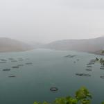 ADIYAMAN (PHA) - Behçet ATABEK - Murat KAYIŞ – Adıyaman’da yaz sıcaklıklarının etkisini artırdığı günlerde Çelikhan ilçesinde yağan yağmur, Çat Barajı’nın doğal güzelliğini yeniden ortaya çıkardı.