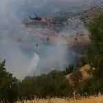 ADIYAMAN (PHA) - Adıyaman’ın Gerger ilçesinde ormanlık alanda çıkan yangın, havadan yapılan müdahale sonucu kontrol altına alındı.