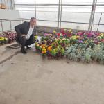 ADIYAMAN (PERRE) - Mustafa KAMIŞ - Adıyaman İl Genel Meclisi Daimi Encümen Üyesi Turan Yıldırım, Kahta ilçesinde faaliyet gösteren süs bitkileri serasını ziyaret etti.