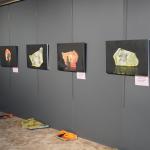 ADIYAMAN (PERRE) - Murat KAYIŞ-Şeriban ÖZÇAKMAK - Fotoğraf sanatçısı Meral Göksu Sağdıç, "Azura" adlı ikinci kişisel sergisinde taş üzerine çizimleri ve fotoğraflarını bir arada sergileyerek, kadınlara ilham veren özgün...