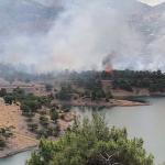 ADIYAMAN (PHA) - Adıyaman’da ormanlık alanda çıkan yangına itfaiye ekipleri tarafından kontrol altına alınmaya çalışılıyor.