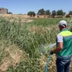 ADIYAMAN (PERRE) - Şeriban ÖZÇAKMAK - Adıyaman Belediyesi ekipleri, larva ve haşere üremesini önlemek amacıyla kent genelinde su birikintileri ve riskli alanlarda düzenli ilaçlama yapmaya devam ediyor.