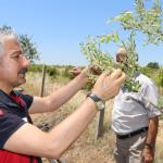 ADIYAMAN (PHA) - Adıyaman İl Tarım ve Orman Müdürü Abdulkadir Akkan, tarımsal üretimin sürdürülebilirliğini sağlamak ve üreticilerle birebir temas kurmak amacıyla gerçekleştirdiği saha ziyaretlerine aralıksız devam ediyo...