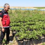 ADIYAMAN (PHA) - Adıyaman İl Tarım ve Orman Müdürü Abdulkadir Akkan, tarımsal üretimin sürdürülebilirliğini sağlamak ve üreticilerle birebir temas kurmak amacıyla gerçekleştirdiği saha ziyaretlerine aralıksız devam ediyo...