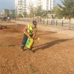 ADIYAMAN (PERRE) - Şeriban ÖZÇAKMAK - Adıyaman Belediyesi Park ve Bahçeler Müdürlüğü ekipleri, kış mevsimi öncesinde kent genelindeki park, bahçe ve yeşil alanlarda kapsamlı bakım ve yenileme çalışmalarını sürdürüyor.