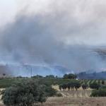 ADIYAMAN (PHA) - Adıyaman’ın Kahta ilçesinde, elektrik tellerinden çıkan kıvılcımın ardından rüzgarın etkisiyle tarlada başlayan yangın, ekipler tarafından kontrol altına alınmaya çalışılıyor.