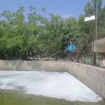 ADIYAMAN (PERRE) - Şeriban ÖZÇAKMAK - Adıyaman Belediyesi ekipleri, larva ve haşere üremesini önlemek amacıyla kent genelinde su birikintileri ve riskli alanlarda düzenli ilaçlama yapmaya devam ediyor.