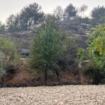 ADIYAMAN (PHA) - Şeriban ÖZÇAKMAK - Adıyaman’ın Besni ve Tut ilçelerine bağlı köylerde çıkan orman ve bahçe yangınları, havadan ve karadan yapılan yoğun müdahalelerle kontrol altına alındı.