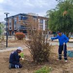 ADIYAMAN (PERRE) - Şeriban ÖZÇAKMAK - Adıyaman Belediyesi Park ve Bahçeler Müdürlüğü ekipleri, kış mevsimi öncesinde kent genelindeki park, bahçe ve yeşil alanlarda kapsamlı bakım ve yenileme çalışmalarını sürdürüyor.