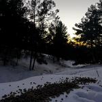 ADIYAMAN (PERRE) - Behçet ATABEK - Perre Offroad Kulübü, olumsuz hava koşulları nedeniyle ulaşılamayan mesire alanlarında yaşayan sokak hayvanları için besleme çalışması gerçekleştirdi.