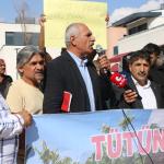 ADIYAMAN (PERRE) - Şeriban ÖZÇAKMAK - Adıyaman'da tütün alımının durdurulmasına tepki gösteren üreticiler, Meydan Camii önünde toplanarak hükümete, muhtarlara, Ziraat Odası'na ve tütün firmalarına seslendi.