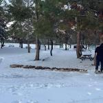 ADIYAMAN (PERRE) - Behçet ATABEK - Perre Offroad Kulübü, olumsuz hava koşulları nedeniyle ulaşılamayan mesire alanlarında yaşayan sokak hayvanları için besleme çalışması gerçekleştirdi.